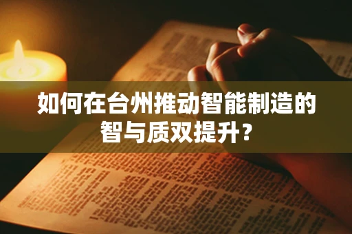 如何在台州推动智能制造的智与质双提升？