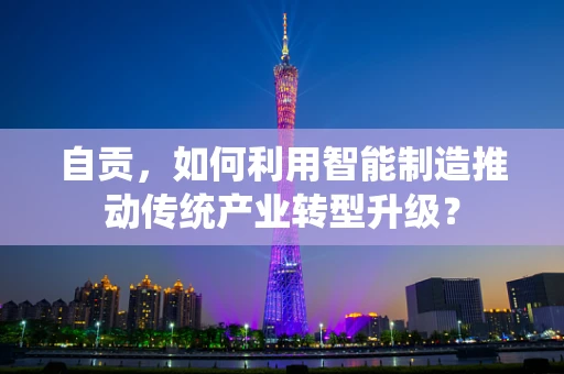 自贡，如何利用智能制造推动传统产业转型升级？