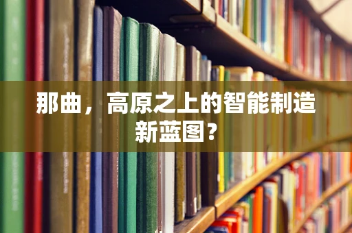 那曲，高原之上的智能制造新蓝图？