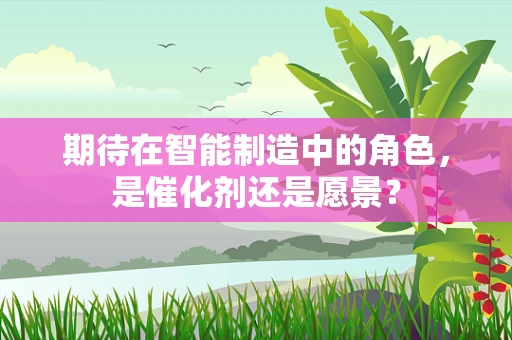 期待在智能制造中的角色，是催化剂还是愿景？