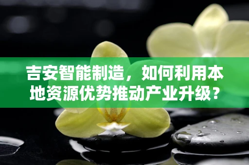 吉安智能制造，如何利用本地资源优势推动产业升级？