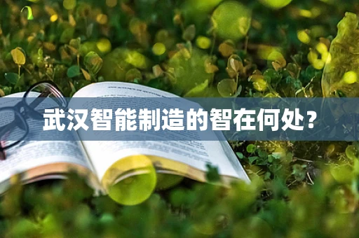 武汉智能制造的智在何处？