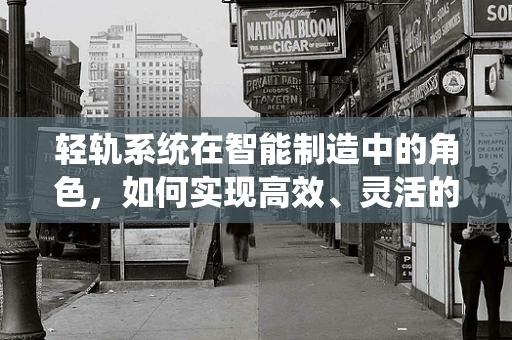 轻轨系统在智能制造中的角色，如何实现高效、灵活的物流解决方案？