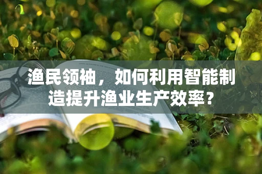 渔民领袖，如何利用智能制造提升渔业生产效率？
