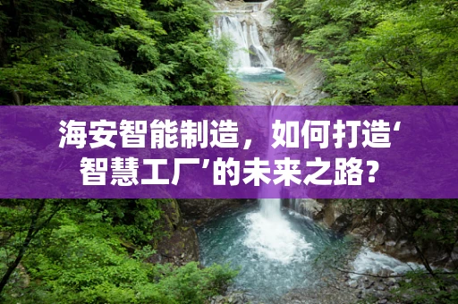 海安智能制造，如何打造‘智慧工厂’的未来之路？