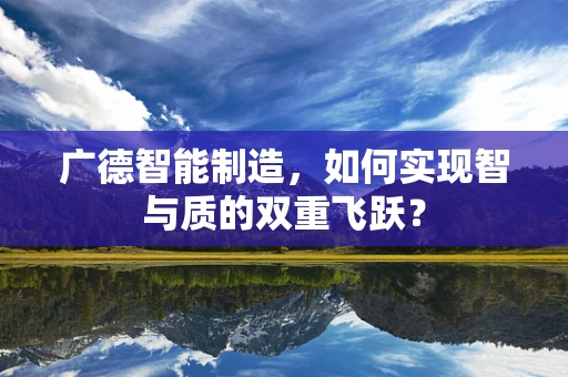 广德智能制造，如何实现智与质的双重飞跃？