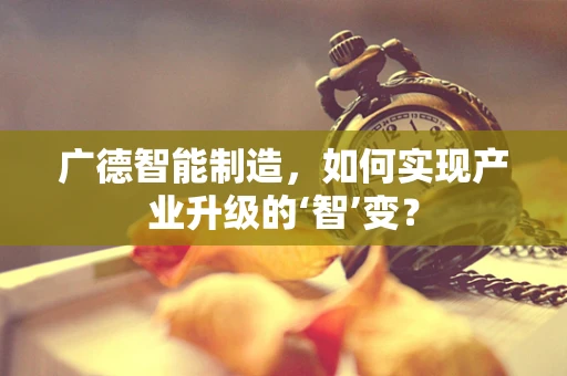 广德智能制造，如何实现产业升级的‘智’变？