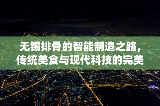 无锡排骨的智能制造之路，传统美食与现代科技的完美融合？