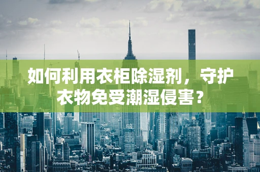 如何利用衣柜除湿剂，守护衣物免受潮湿侵害？