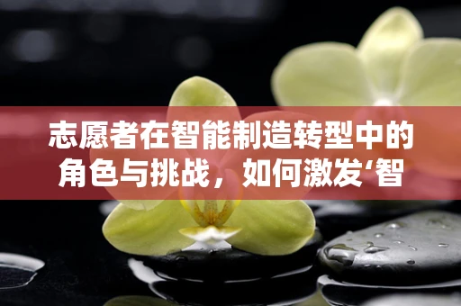 志愿者在智能制造转型中的角色与挑战，如何激发‘智’造新动力？