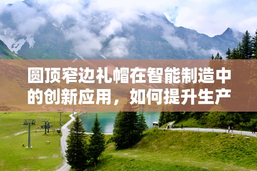 圆顶窄边礼帽在智能制造中的创新应用，如何提升生产线的‘视觉’智能？