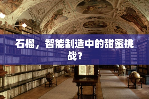 石榴，智能制造中的甜蜜挑战？