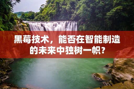 黑莓技术，能否在智能制造的未来中独树一帜？