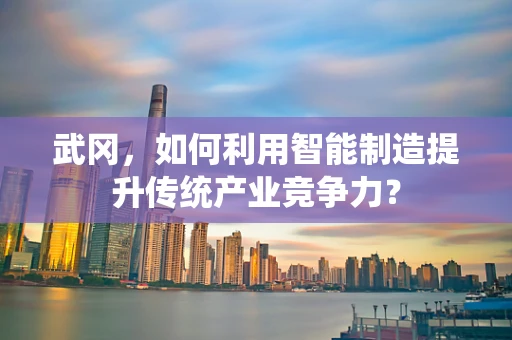 武冈，如何利用智能制造提升传统产业竞争力？