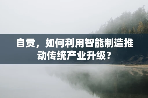自贡，如何利用智能制造推动传统产业升级？