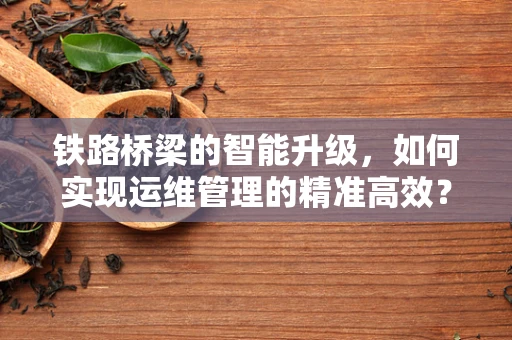 铁路桥梁的智能升级，如何实现运维管理的精准高效？