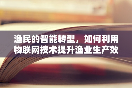渔民的智能转型，如何利用物联网技术提升渔业生产效率？