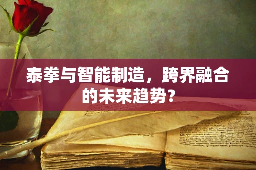 泰拳与智能制造，跨界融合的未来趋势？