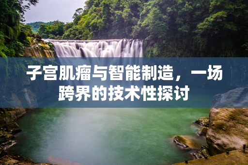 子宫肌瘤与智能制造，一场跨界的技术性探讨