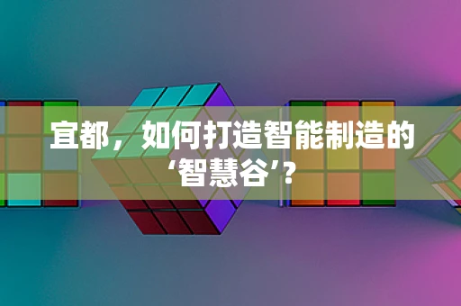 宜都，如何打造智能制造的‘智慧谷’？