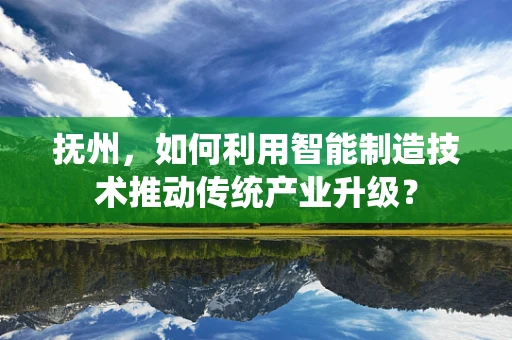 抚州，如何利用智能制造技术推动传统产业升级？