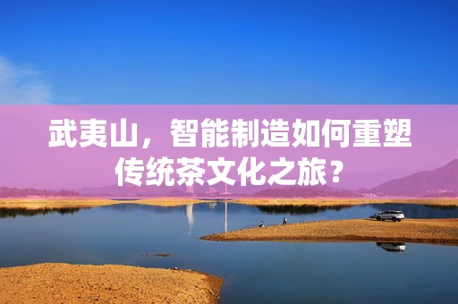 武夷山，智能制造如何重塑传统茶文化之旅？