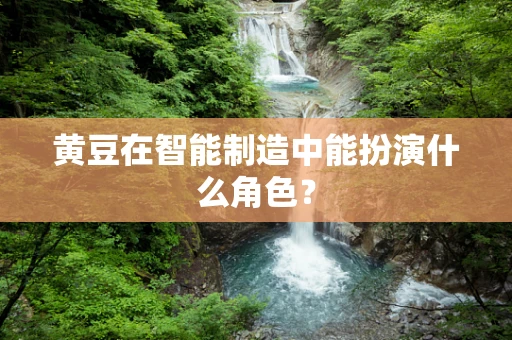 黄豆在智能制造中能扮演什么角色？