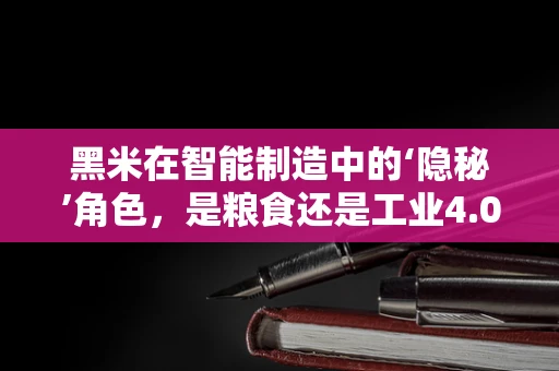 黑米在智能制造中的‘隐秘’角色，是粮食还是工业4.0的催化剂？