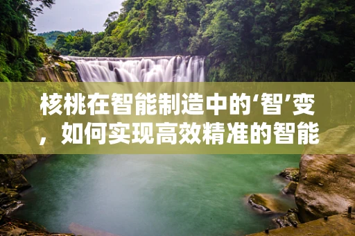 核桃在智能制造中的‘智’变，如何实现高效精准的智能分选？