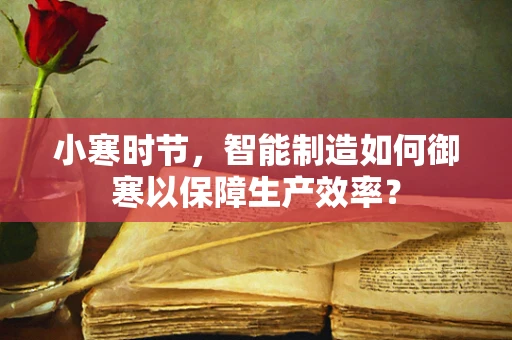 小寒时节，智能制造如何御寒以保障生产效率？