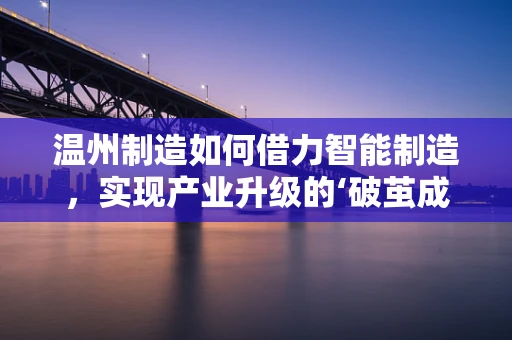 温州制造如何借力智能制造，实现产业升级的‘破茧成蝶’？