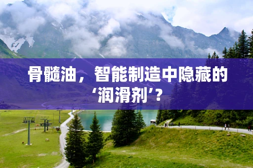 骨髓油，智能制造中隐藏的‘润滑剂’？