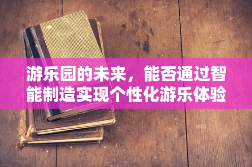 游乐园的未来，能否通过智能制造实现个性化游乐体验？