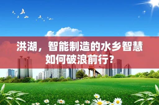 洪湖，智能制造的水乡智慧如何破浪前行？