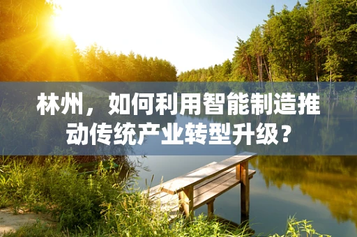 林州，如何利用智能制造推动传统产业转型升级？