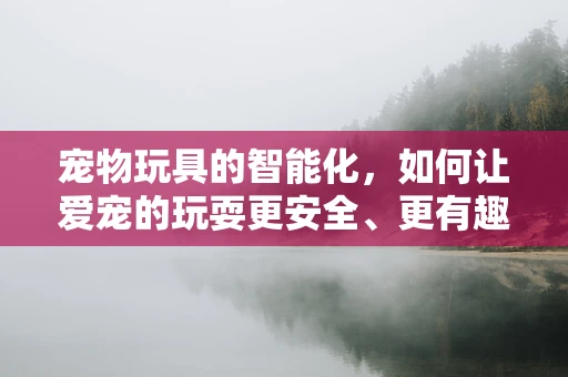 宠物玩具的智能化，如何让爱宠的玩耍更安全、更有趣？
