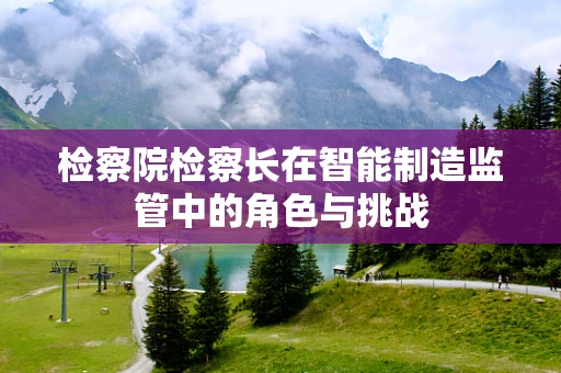 检察院检察长在智能制造监管中的角色与挑战