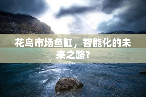 花鸟市场鱼缸，智能化的未来之路？