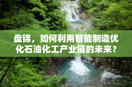 盘锦，如何利用智能制造优化石油化工产业链的未来？