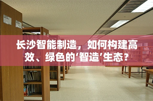 长沙智能制造，如何构建高效、绿色的‘智造’生态？