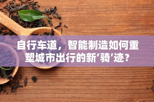 自行车道，智能制造如何重塑城市出行的新‘骑’迹？