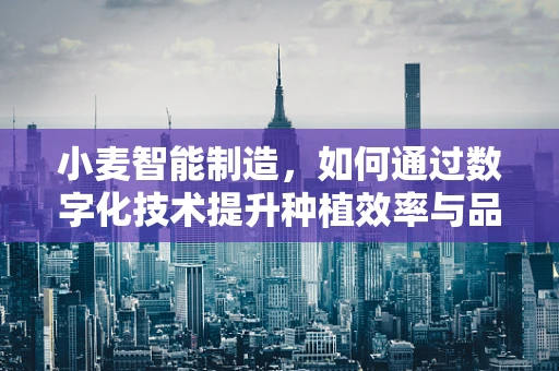 小麦智能制造，如何通过数字化技术提升种植效率与品质？