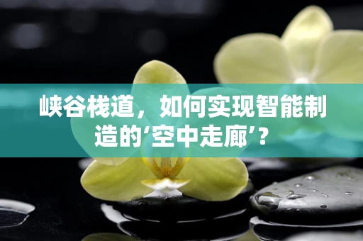 峡谷栈道，如何实现智能制造的‘空中走廊’？