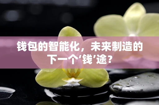 钱包的智能化，未来制造的下一个‘钱’途？