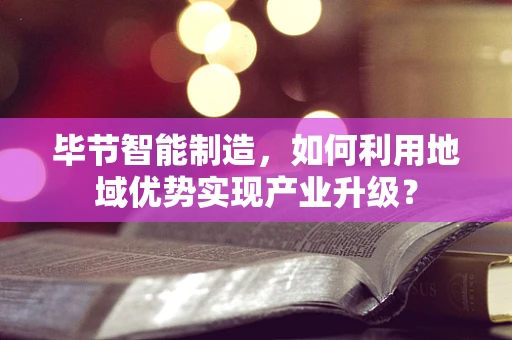毕节智能制造，如何利用地域优势实现产业升级？