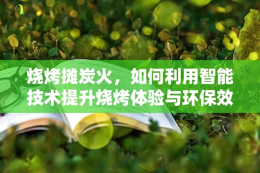 烧烤摊炭火，如何利用智能技术提升烧烤体验与环保效益？