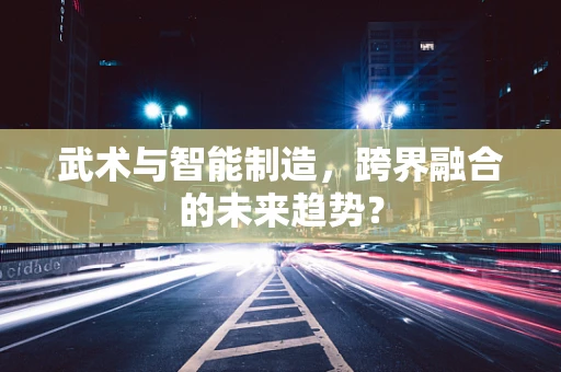 武术与智能制造，跨界融合的未来趋势？