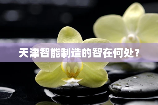 天津智能制造的智在何处？