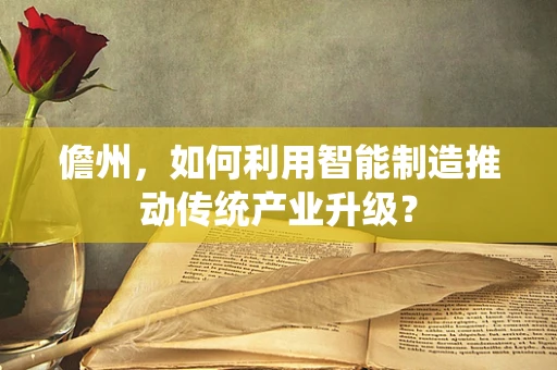 儋州，如何利用智能制造推动传统产业升级？