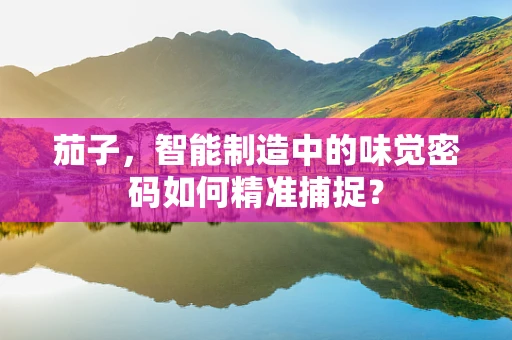 茄子，智能制造中的味觉密码如何精准捕捉？